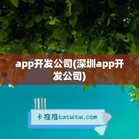 app开发公司(深圳app开发公司)